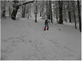 Kranjski Rak - Kapela Marije Snežne (Velika planina)